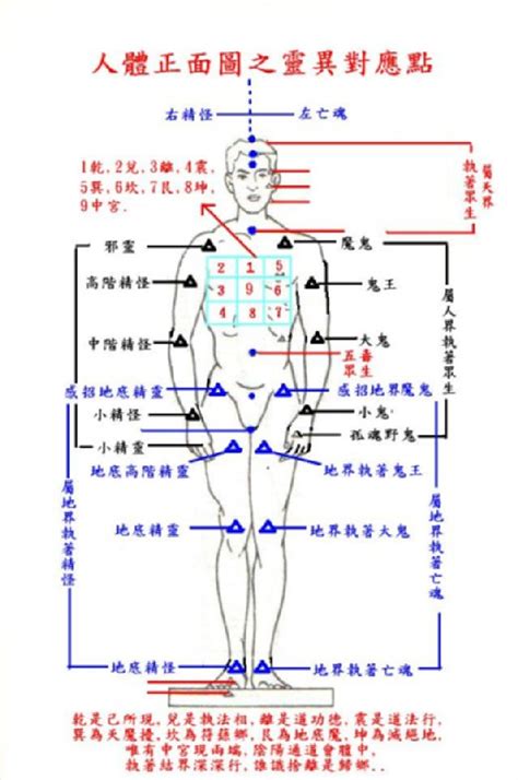 八卦對應身體